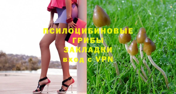 MDMA Premium VHQ Михайловка