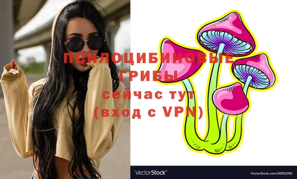 твердый Абинск