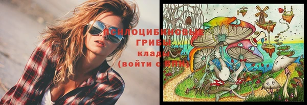 твердый Абинск