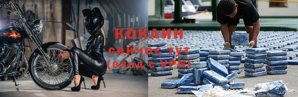 твердый Абинск