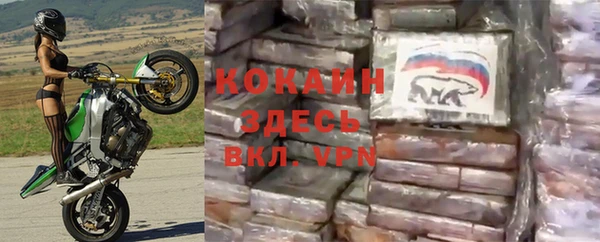 твердый Абинск