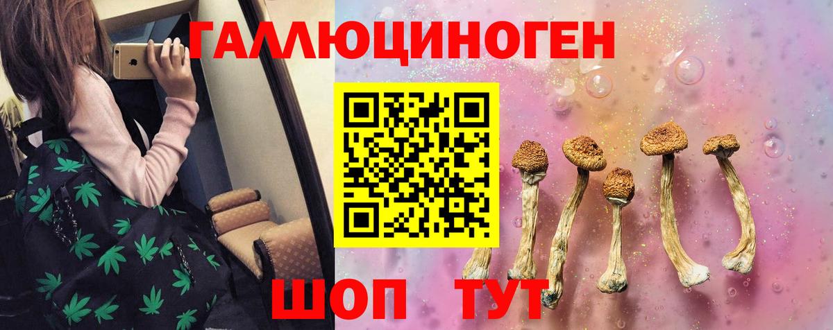 Галлюциногенные грибы мухоморы  цена   Нижнекамск  Вход с VPN 